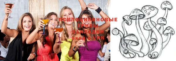 СК Володарск