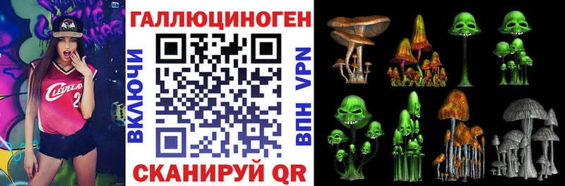 Купить закладки  Кыштым  Псилоцибиновые грибы Psilocybe 